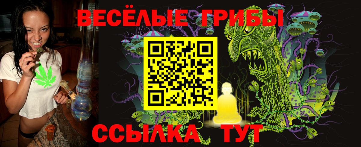 Владивосток  Псилоцибиновые грибы GOLDEN TEACHER  Вход с VPN 